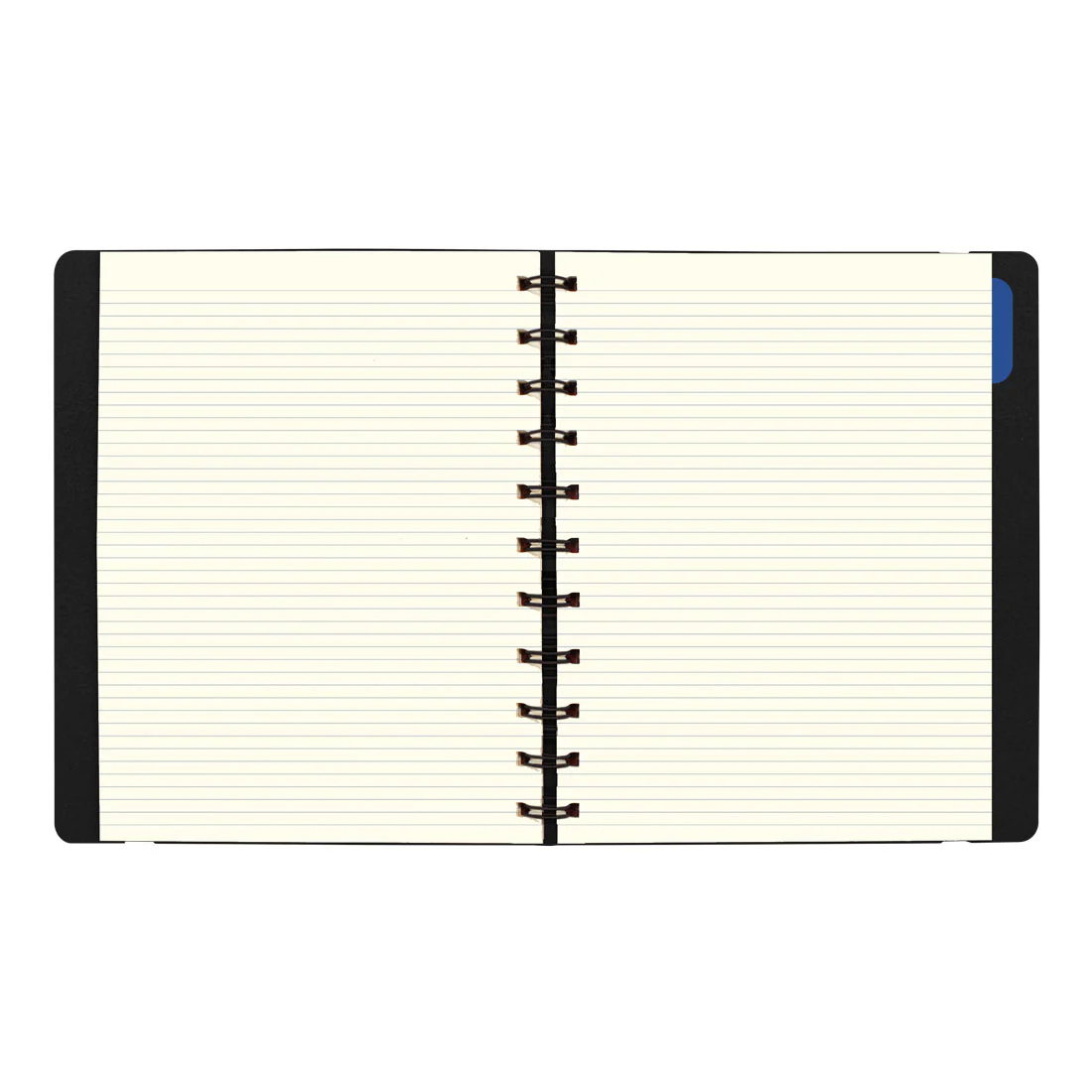 Filofax Monthly Planner - Letter 2026 - Image 5